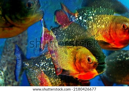  Multicolor background with a fishes piranha, simulates textured surface Royalty-Free Stock Photo #2180426677