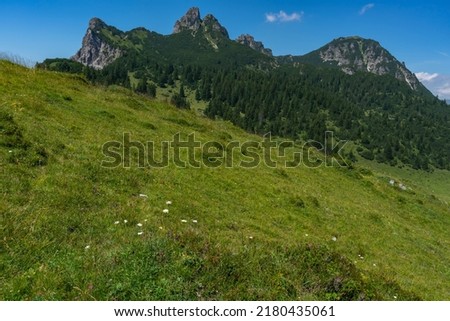 the mountains called Elsspitze (El's tip) and Breithorn with the forested steep slopes and alpine flowered meadows. beautiful summer holiday with hiking in Vorarlberg, Austria Royalty-Free Stock Photo #2180435061