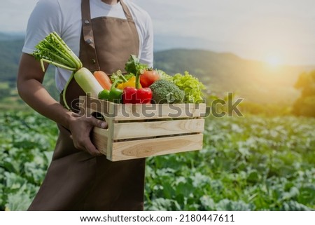 Male organic farmer standing in a vegetable field holding a wooden box of beautiful freshly picked vegetables, Organic vegetables and healthy lifestyle concept. Royalty-Free Stock Photo #2180447611