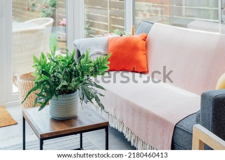 Cozy, light conservatory interior design with gray sofa decorated with bright textile cover and cushions and many green house plants. Hygge home interior design. Biophilic lifestyle. Selective focus. Royalty-Free Stock Photo #2180460413