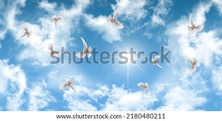 White doves flying under the clouds in the sunny sky. sky background  and birds for ceiling decoration.