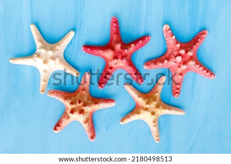 Marine blue background with seashells and starfish