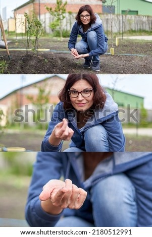 Three frame photo of a woman showing a seed in a vegetable home garden