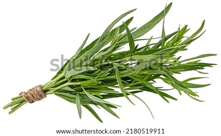 Tarragon bunch isolated on white background Royalty-Free Stock Photo #2180519911