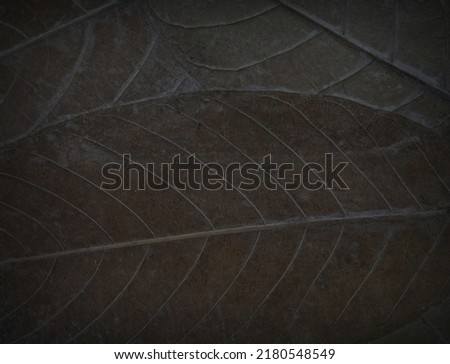 The pattern shape of the leaf surface is not dry