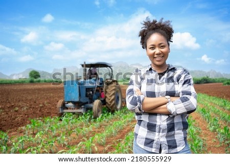African woman Agriculture Farmer examining corn plant in field. Agricultural activity at cultivated land. Woman agronomist inspecting maize seedling.Expert inspect plant quality in green field rural. Royalty-Free Stock Photo #2180555929