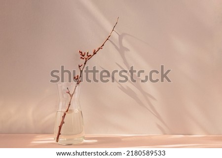 Composition in the style of minimalism. A dry apple branch with buds in a vase on a natural background with shadows and sunshine Royalty-Free Stock Photo #2180589533