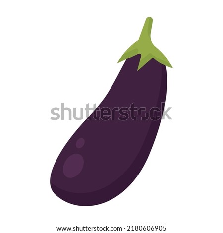 Aubergine vegetable, eggplant isolated sketch. Vector purple vegetable