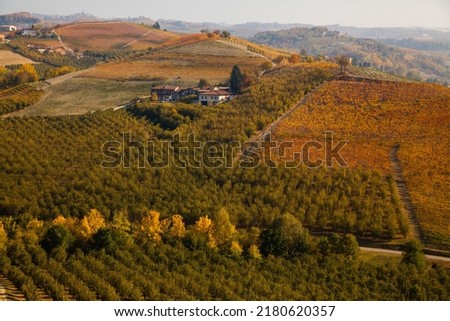  Panorama of the vineyards of the Langhe, Piedmont, Italy Europe
