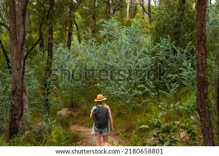 Woman hiking through the Australian bush at Crows Nest National Park, Queensland.  Royalty-Free Stock Photo #2180658801