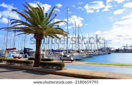 Palm tree at the pier in the sea harbor. Yachts and sailboats in the harbour of la Marina de Valencia. Luxury yacht and fishing motor boat in yacht club at Mediterranean Sea.