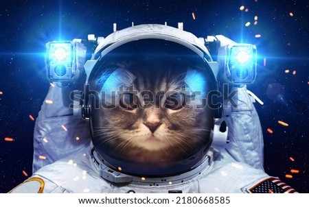 Humor cat as a astronaut space light