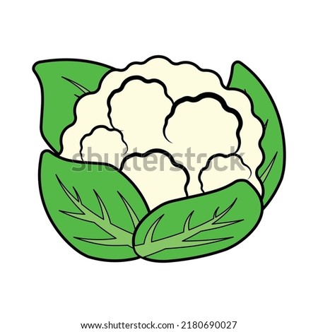 Animated Stroke Line Cauliflower, half cauliflower vector, Fresh white cauliflower with green leaves, Cauliflower isolated on white background, Collection, Group of cauliflowers with green leaves Royalty-Free Stock Photo #2180690027
