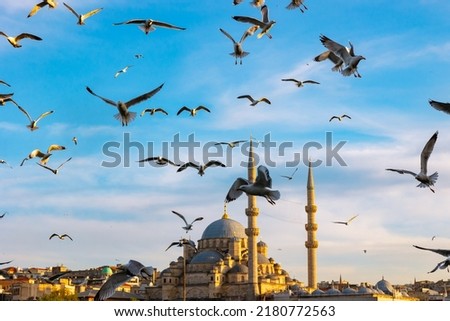 Istanbul view. Seagulls and Yeni Cami or New Mosque in Istanbul at sunset. Travel to Turkey background photo.