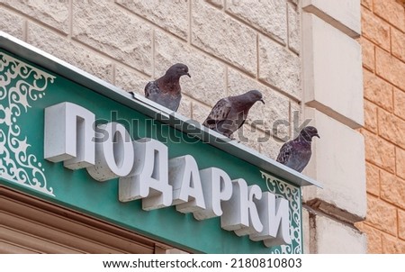 Three pigeons sit on the sign -Gifts-