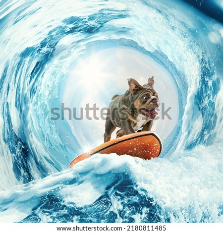 Scared, surprised and shocked surf rider. Collage with cute funny bulldog dog surfing on huge wave in ocean or sea on summer vacation over blue-white background. Concept of hobbies, animal, adventures Royalty-Free Stock Photo #2180811485