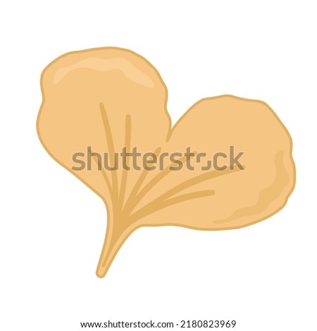 Vector illustration beige autumn ginkgo leaves on white isolated backgroun.