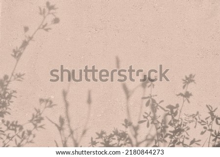 Shadow of flowers on pink concrete wall texture with roughness and irregularities. Abstract trendy colored nature concept background. Copy space for text overlay, poster mockup flat lay 