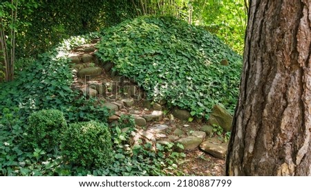 Stone steps lead to a hill curled with ivy. Green English ivy (Hedera helix, European ivy) and variegated ivy Hedera helix Goldchild carpet cover hill In shadow garden. Nature concept for design.  Royalty-Free Stock Photo #2180887799