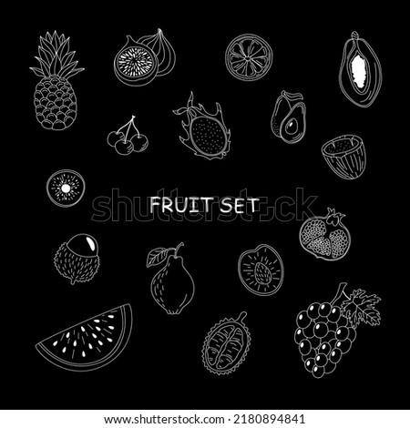 Fruit set. Hand-drawn tropical fruits on a white background. Mangosteen, papaya, dragon fruit and others.