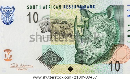 White rhinoceros at center, large white rhino head, Portrait from South Africa 10 Rand 2009 Banknotes. 
