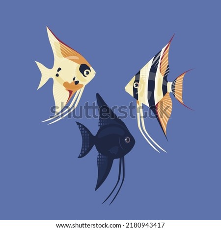 A set of different angelfish. Colorful aquarium fish. Vector illustration isolated on a white background. 