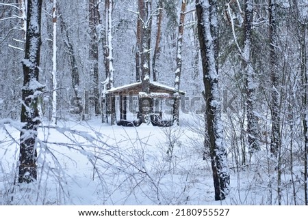 The picture shows a winter forest in which a house was built.