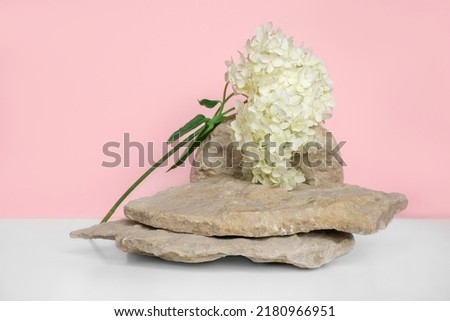Stone Podium with flowering hydrangea branches for product presentation. Abstract minimal natural rock pedestal on pink background. Showcase, white flowers soft shadow. Scene, display case. Front view