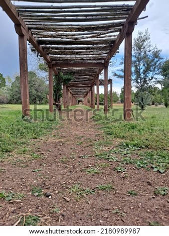 Long perspective shot under a wooden trellis in a park 
