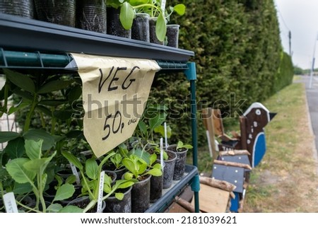 Roadside vegetable plant sale with plants in small pots and priced at 50p with narrow depth of field and focus on the signage