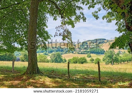 A green countryside landscape of trees and a blue sky in nature. Beautiful natural farm view of fresh fields, grass, and plants in a valley. Charming farming agricultural land in summer.