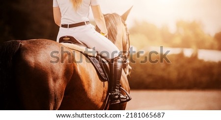 A rear view of a bay horse with a rider in the saddle, which gallops on a sunny day. Equestrian sports. Horse riding. Equestrian life. Royalty-Free Stock Photo #2181065687