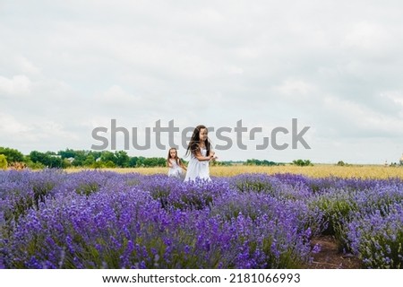 Two little sisters run in a field of lavender bushes. Plantations of purple-blue lavender bushes.happy family children kid together playing in the park at sunset silhouette.