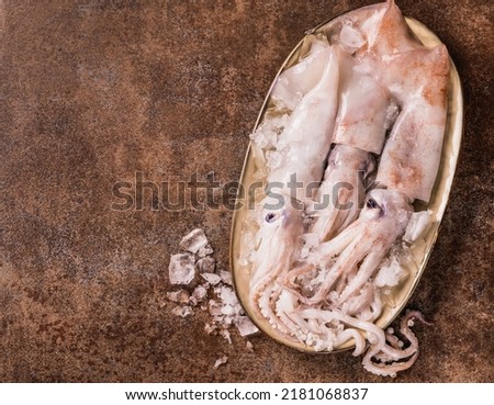 Fresh squids octopus or cuttlefish. Raw squids on dark background seafood, raw squids on crushed ice  copy space top view background.