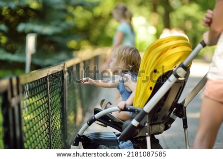 Cute toddler boy in a stroller watching animals at the zoo on warm and sunny summer day. Child admiring zoo animals. Family time at zoo. Royalty-Free Stock Photo #2181087585