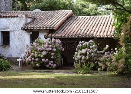 Fairy house in greenery and flowers. Mar del Plata, Argentina, Buenos Aires, South America