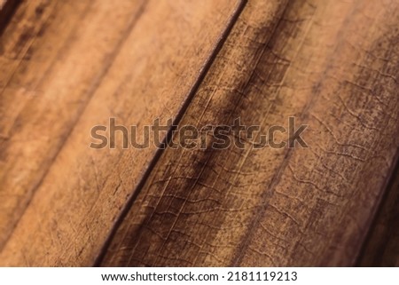 Macro shot Abstract Real beauty nature background. Dried tropical plant leaf surface texture structure detail diagonal vein line streak stripe. Simple design matte vintage dark light brown beige shade