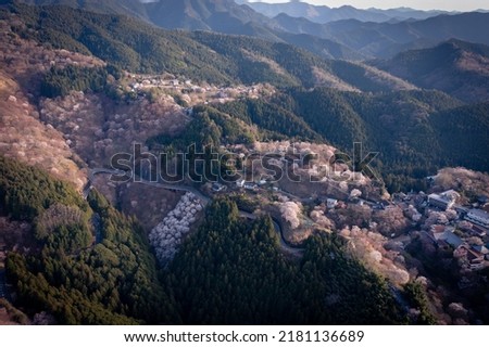 Hundreds of Sakura Trees Begin to Bloom in Yoshino, Nara Japan. Aerial View