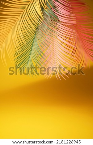 Palm leaf on a yellow background. - Summer concept