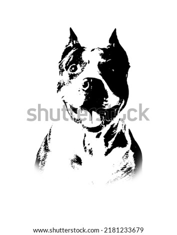 Illustration Of American Staffordshire Terrier Portrait Of Head.