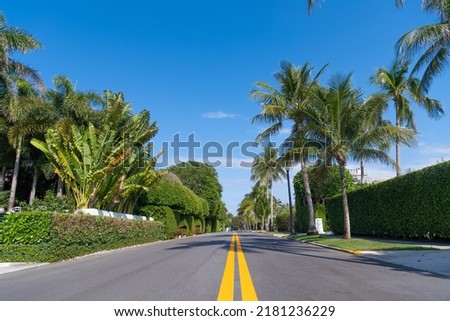 empty avenue with yellow marking and palm trees Royalty-Free Stock Photo #2181236229