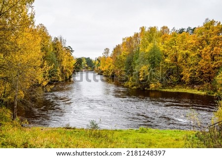 River in the autumn forest. Autumn forest river landscape. River in autumn forest. Autumn river in forest Royalty-Free Stock Photo #2181248397
