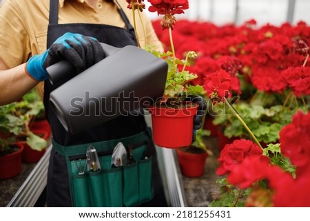 Closeup view of gardener woman watering flowers in greenhouse Royalty-Free Stock Photo #2181255431