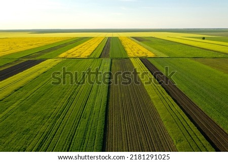 Aerial view with the  landscape geometry texture of a lot of agriculture fields with different plants like rapeseed in blooming season and green wheat. Farming and agriculture industry. Royalty-Free Stock Photo #2181291025