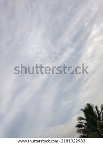Artistic cirrus clouds visible in the Golden sky