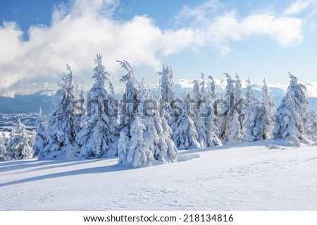Beautiful trees in the snow capped mountains. Winter landscape. Wallpaper background.