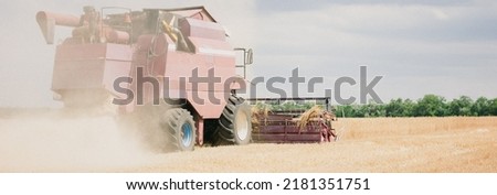 combine mower mechanism cuts spikelets wheat. Agricultural harvesting work. harvester moves field and mows ripe wheat. large harvester collects grain sunny weather. agricultural business. photo banner