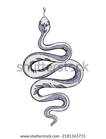 Vector outline snake. Magic symbol. Serpent art in trendy style. Wicca moon goddess symbol. Vector illustration. Tattoo, astrology, alchemy, boho and magic symbol. Coloring book.