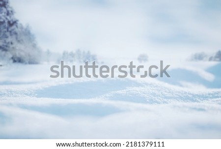 SNOW WINTER LANDSCAPE, COLD NATURE, NATURAL CHRISTMAS SNOWY FIELD WITH EMPTY SPACE FOR MONTAGE