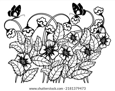 illustrations of leaves, flowers and butterflies drawn in black and white